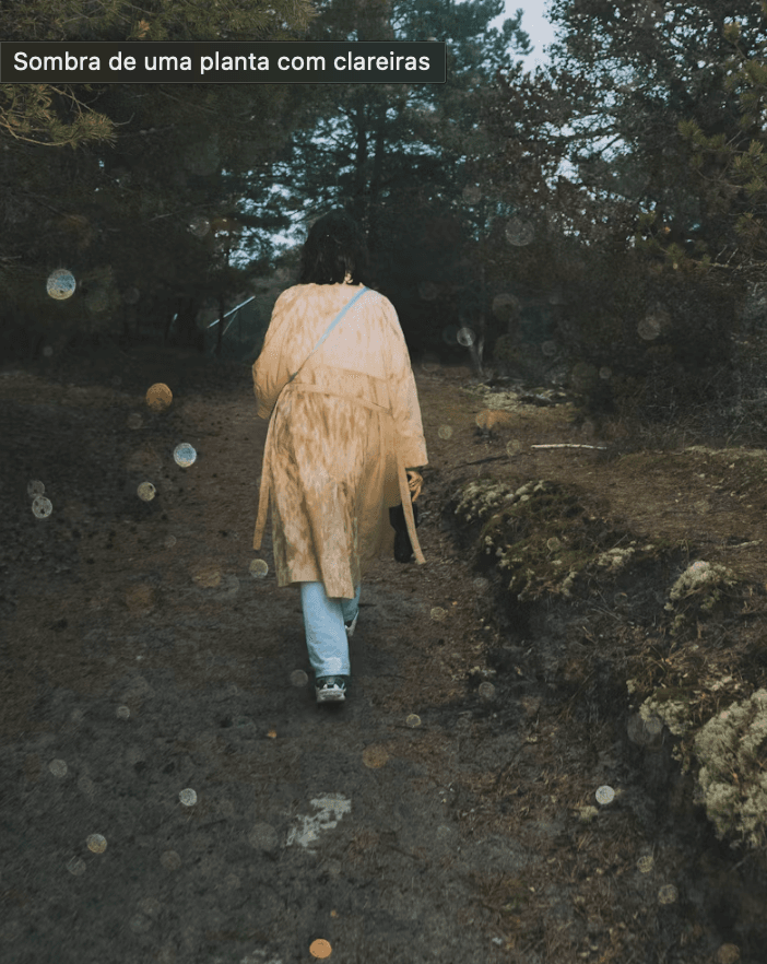 trilha no meio do mato para ver cachoeira